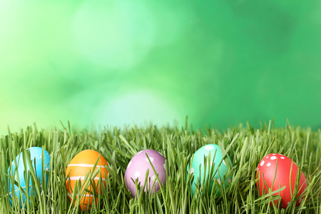 Colorful easter eggs in green grassの写真素材