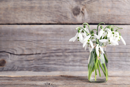 Bouquet of snowdrop flowers in glass bottle on grey backgroundの写真素材