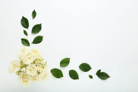 Rose flowers with green leafs on white backgroundの写真素材
