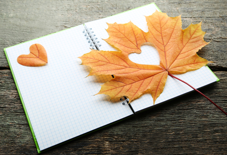 Dry maple leaf with heart and notebook on grey wooden tableの写真素材
