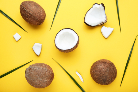 Ripe coconuts with palm leafs on yellow backgroundの写真素材