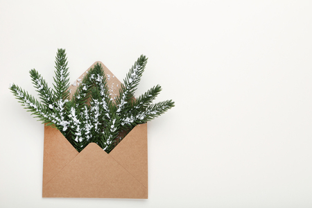 Envelope with fir tree branches on white backgroundの写真素材