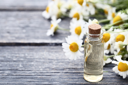 Bottle of chamomile oil with flowers on grey wooden tableの写真素材