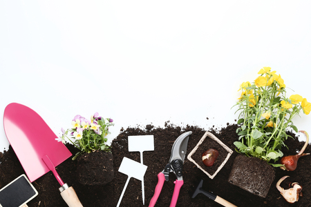 Garden tools with flowers on the groundの写真素材