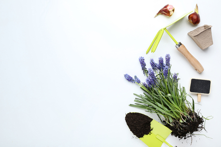 Garden tools with flowers on white backgroundの写真素材