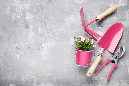 Garden tools with flowers in bucket on grey wooden tableの写真素材