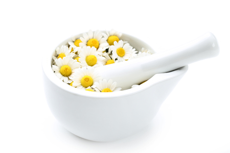 Chamomile flowers in mortar isolated on white backgroundの写真素材