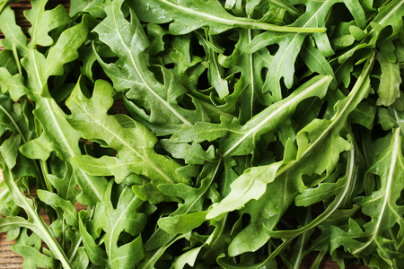 Background of green arugula leafsの写真素材