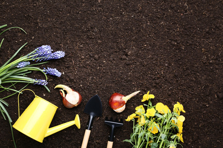 Garden tools with flowers on the groundの写真素材