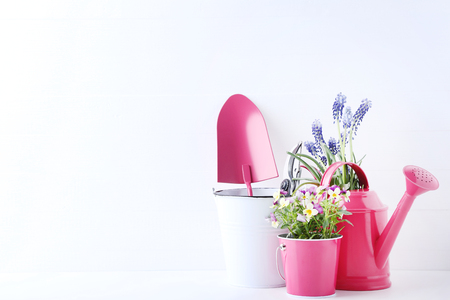 Garden tools with flowers on white backgroundの写真素材