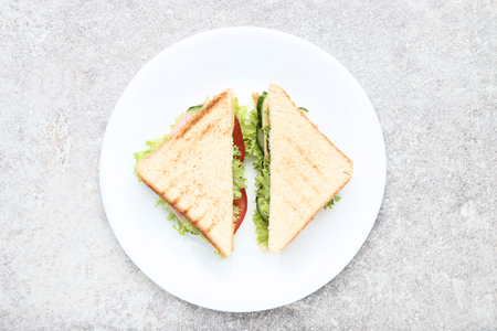 Tasty sandwiches with vegetables in plateの写真素材