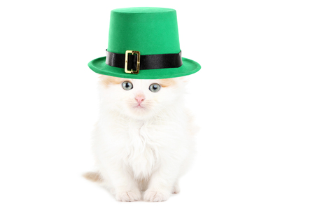 Little kitten with St.Patrick's hat isolated on white backgroundの写真素材