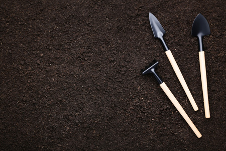 Garden shovel and rake on the ground