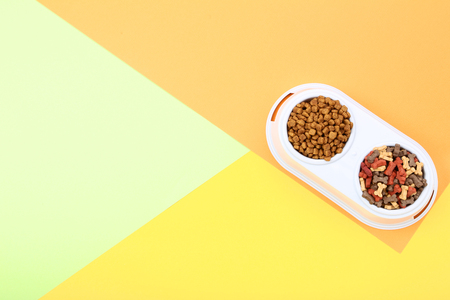 Dry pet food in bowl on colorful backgroundの写真素材