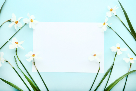 White narcissus flowers with blank sheet of paper on blue backgroundの写真素材
