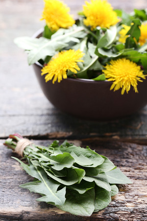 Yellow dandelions and green leafs on wooden tableの写真素材