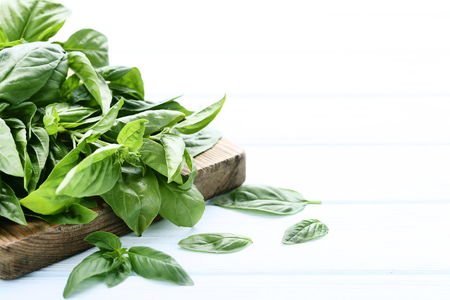Green basil leafs with cutting board on wooden tableの写真素材