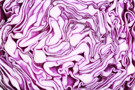 Background of fresh red cabbageの写真素材