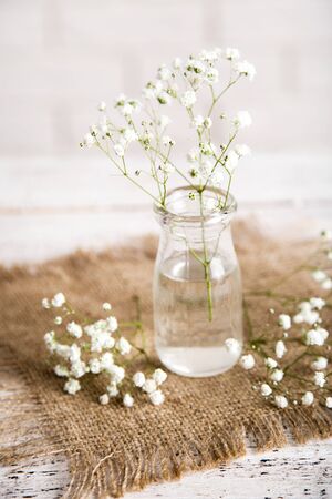 White gypsophila flowers in glass bottle on wooden tableの写真素材