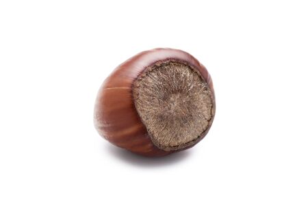 Hazelnut isolated on white backgroundの写真素材