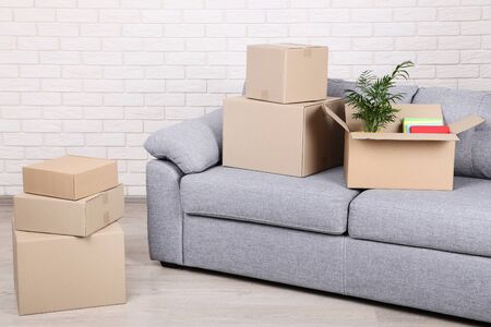 Cardboard boxes with green plant and books on grey sofaの写真素材