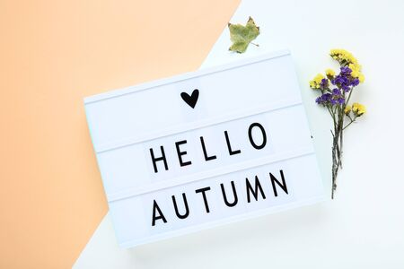 Lightbox with words Hello Autumn and flowers on colorful background
