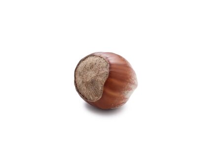 Hazelnut isolated on white background