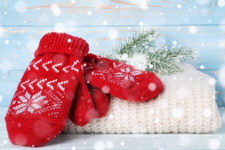 Knitted mittens with scarf and fir tree branches on blue wooden backgroundの写真素材