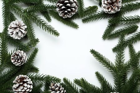Fir tree branches with cones on white backgroundの写真素材