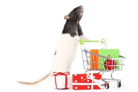 Rat pushing shopping cart with bags and gift boxes on white backgroundの写真素材