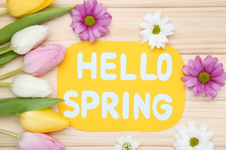 Tulip, chrysanthemum flowers with text Hello Spring on brown wooden table