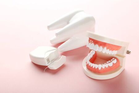 Teeth models with dental thread on pink background