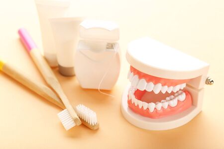 Teeth model with toothbrushes and dental thread on beige background