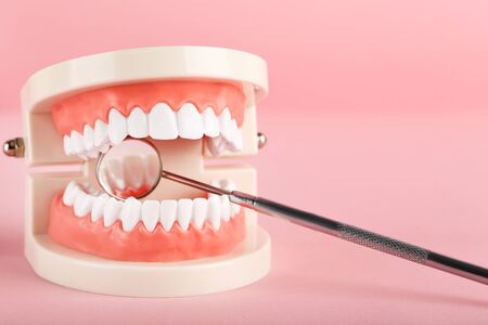 Teeth model with dental mirror on pink background