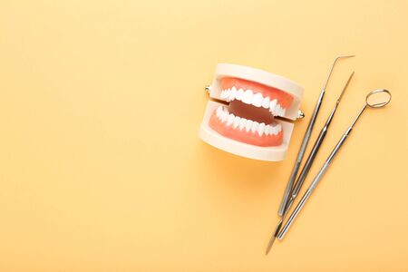 Teeth model with dental instruments on beige backgroundの写真素材