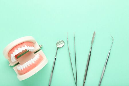 Teeth model with dental instruments on green backgroundの写真素材