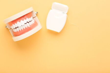 Teeth model with dental thread on beige backgroundの写真素材