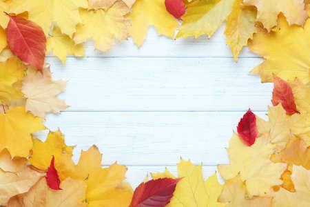 Autumn leafs on white wooden table