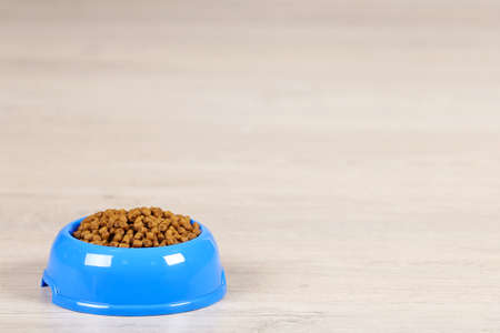 Dry pet food in bowl on the floorの写真素材
