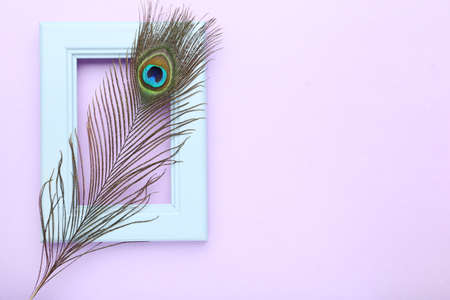 Peacock feather with wooden frame on puple backgroundの写真素材