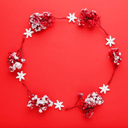 Berries with snowflakes on red backgroundの写真素材