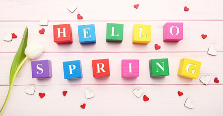 White tulip flower with with text Hello Spring on wooden cubes and small heartsの写真素材