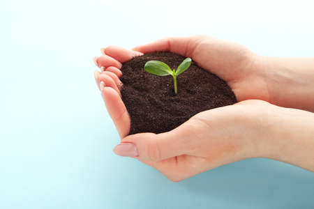 Female hands holding soil with green sprout on blue background