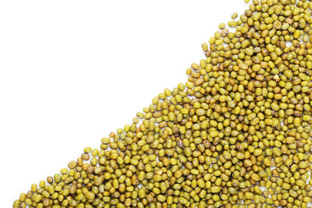 Soy beans on white backgroundの写真素材