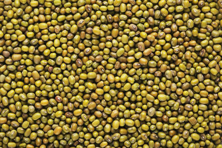 background of ripe soy beansの写真素材