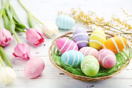 Colorful eggs in basket and flowers of mimosa and tulips on white wooden backgroundの写真素材