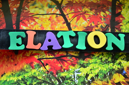 word elationの写真素材