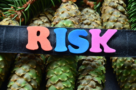 word risk