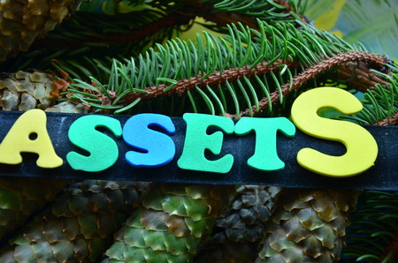 Word assetsの写真素材