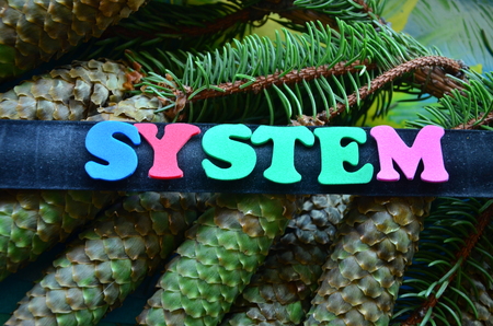 word systemの写真素材